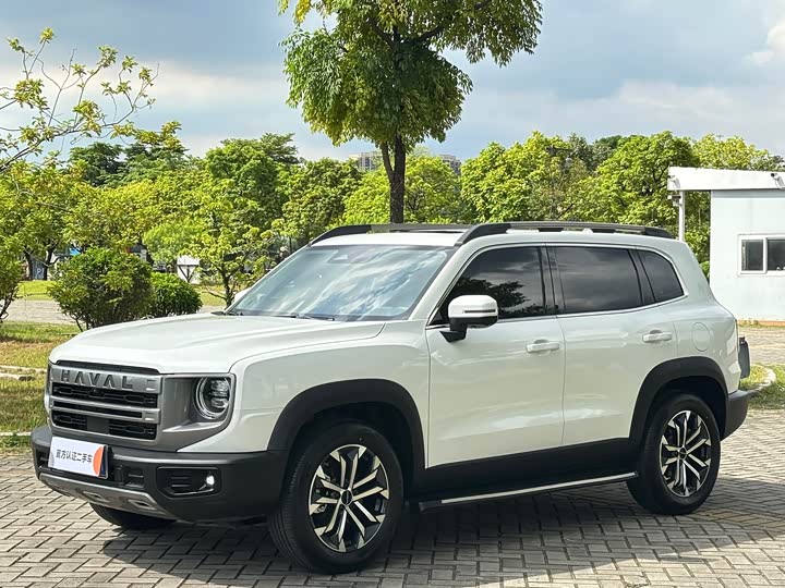 Haval Big Dog 2024 1.5T DCT Border Collie Edition