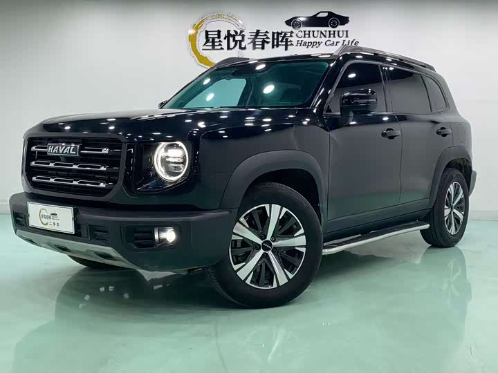 Havaldog 2022 1.5T DCT two-wheel drive Labrador version