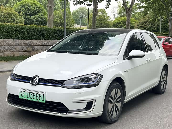 Golf·Pure Electric 2020 Chi