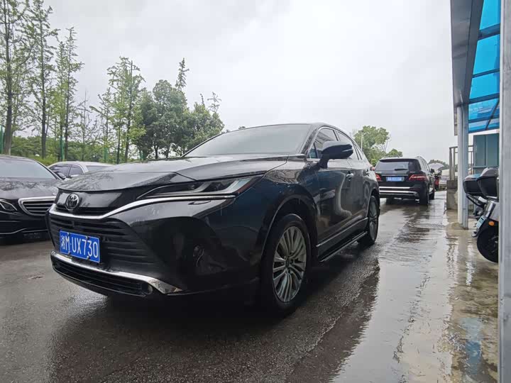 Lingfang HARRIER 2022 2.0L CVT two-wheel drive exclusive version