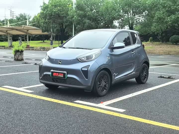 Little Ant 2024 Youth Edition 321km Favorite Edition 29.23kWh
