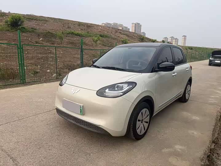 Wuling Bingo 2023 model 203km light model