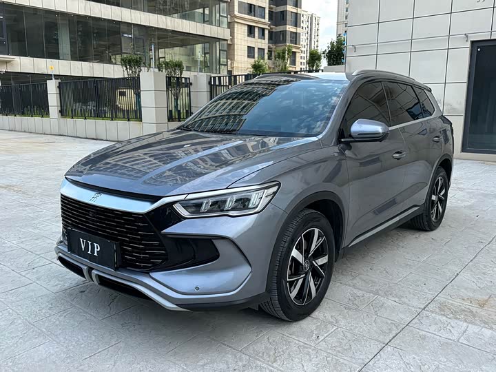 Song Pro New Energy 2024 Honor Edition DM-i 71KM Pilot Model