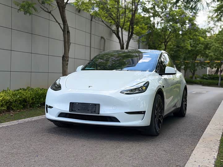 Model Y 2022 Performance high-performance all-wheel drive version