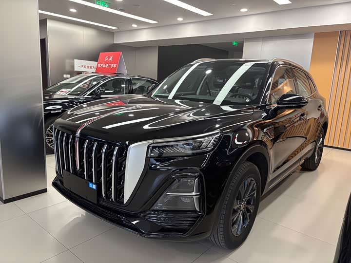 Hongqi HS5 2025 2.0T two-wheel drive Qixiang Pro version