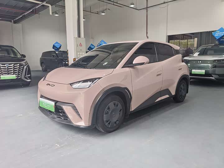 Seagull 2024 Honor Edition 305km Vitality Edition