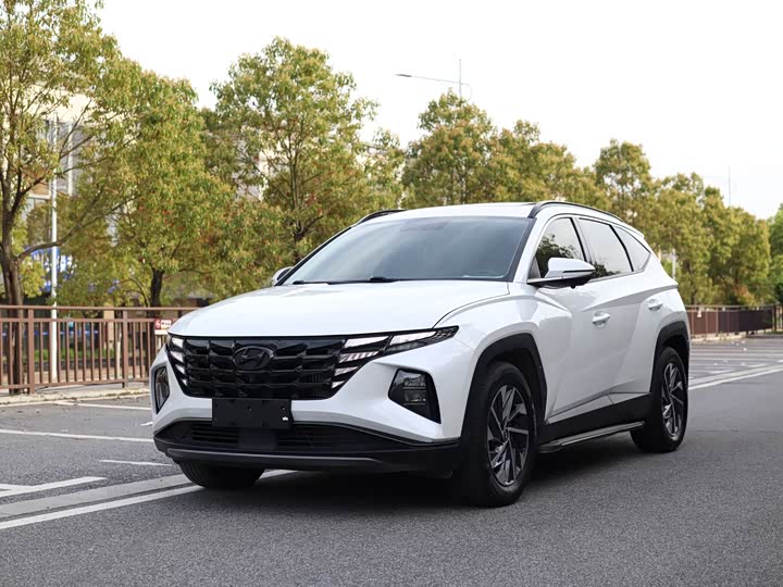 Tucson 2023 Tucson L 1.5T automatic two-wheel drive GLX Elite Edition