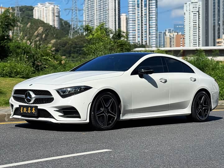 Mercedes-Benz CLS 2021 CLS 300 Luxury