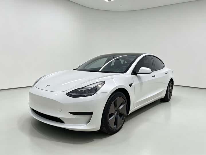 Model 3 2021 standard range rear drive upgraded version 3D6