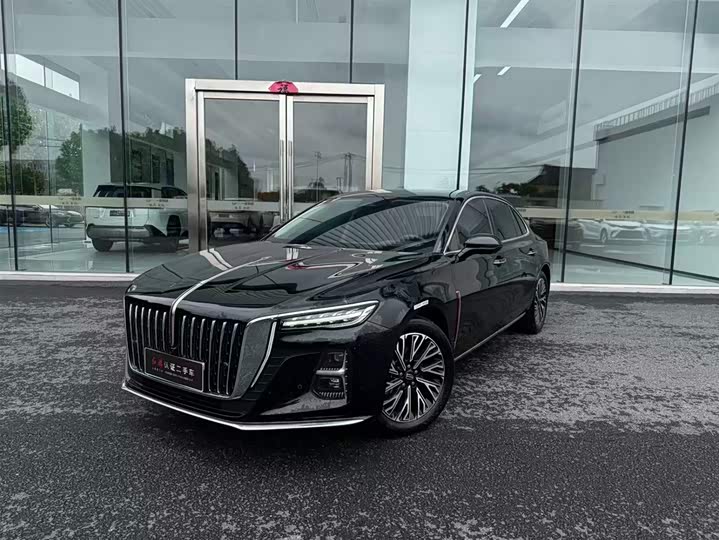 Hongqi H5 2024 2.0T Automatic Zhilianqichang Edition