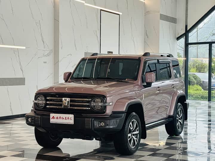 Tank 300 2023 City Edition 2.0T Very Stylish