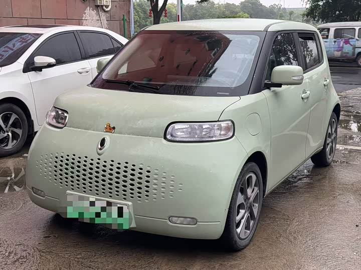 Euler White Cat 2020 360km luxury model
