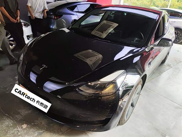 Model 3 2021 standard range rear drive upgraded version 3D6