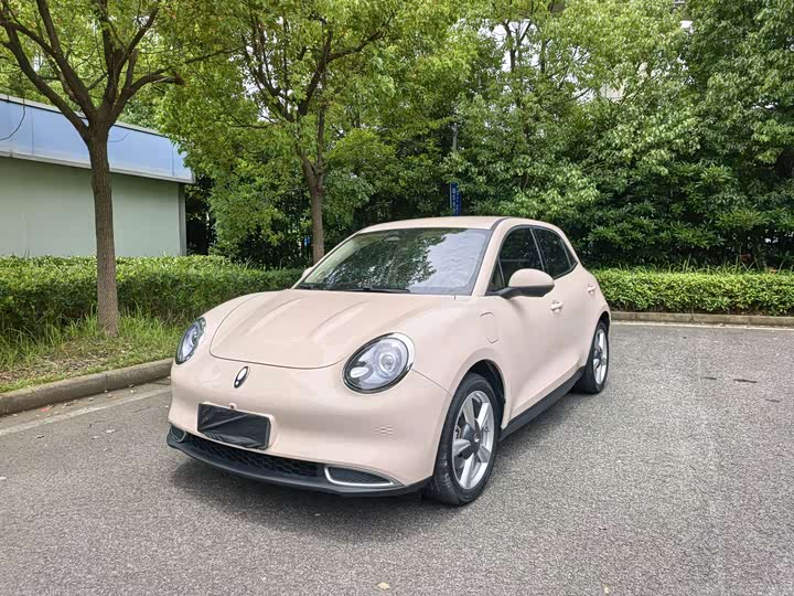 Euler Good Cat 2023 model 401km standard battery life luxury model lithium iron phosphate