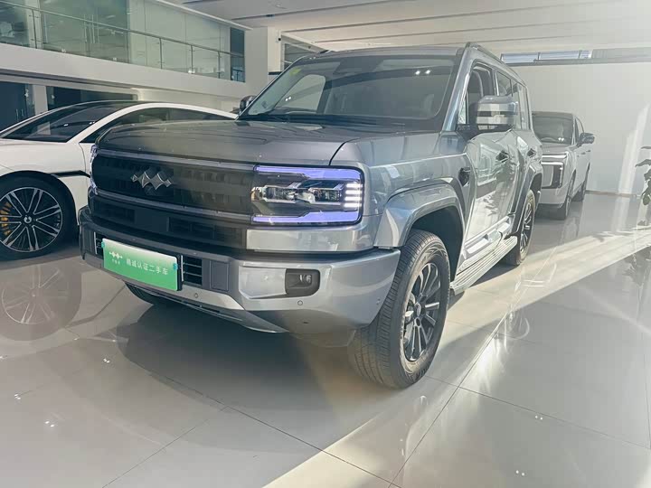 Leopard 5 2025 Model 125KM Intelligent Driving Ultra Edition