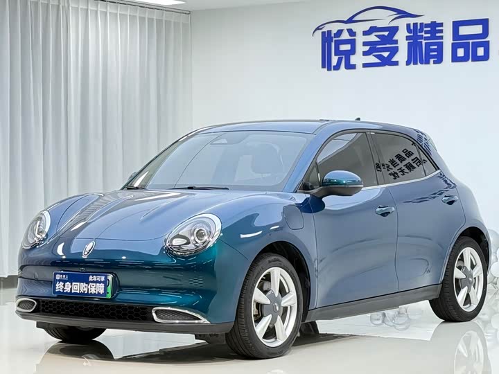 Euler Good Cat 2023 model 401km standard battery life luxury model lithium iron phosphate
