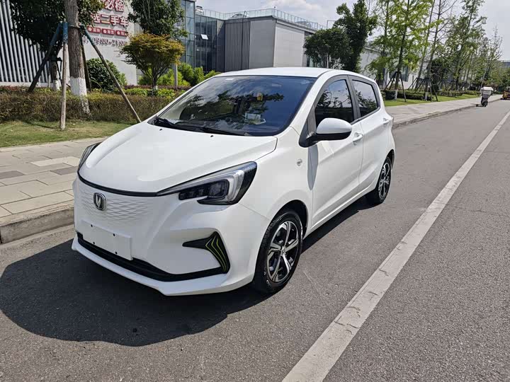Changan Benben E-Star 2020 Heartbeat Edition ternary lithium