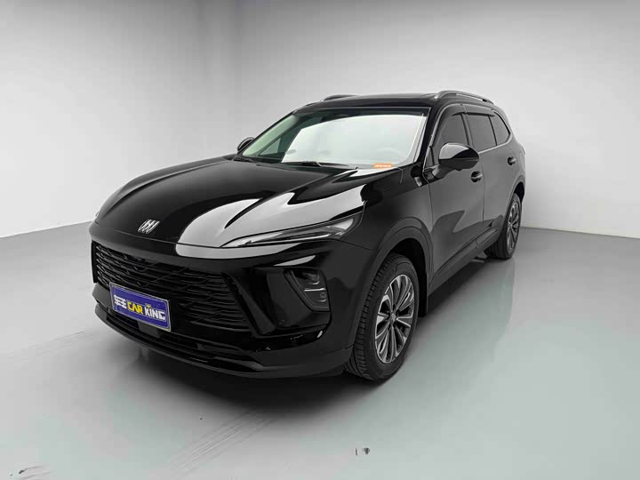 Envision Plus 2025 Envision Plus 28T two-wheel drive platinum version