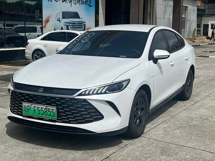 Qin PLUS 2024 Honor Edition DM-i 55KM Leading Type