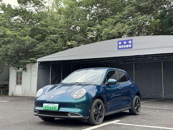 Euler Good Cat 2024 401km Luxury Model