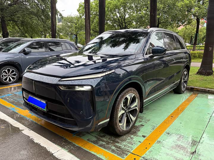 Wei brand Lanshan 2023 two-wheel drive long range version