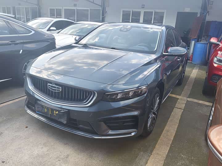 Xingrui 2021 2.0TD luxury model