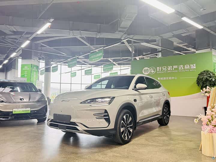 Song PLUS New Energy 2025 EV smart driving version 520km luxury model