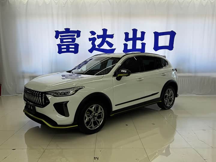 Haval Red Rabbit 2022 Exclusive Edition 1.5T Red Bronze Rabbit