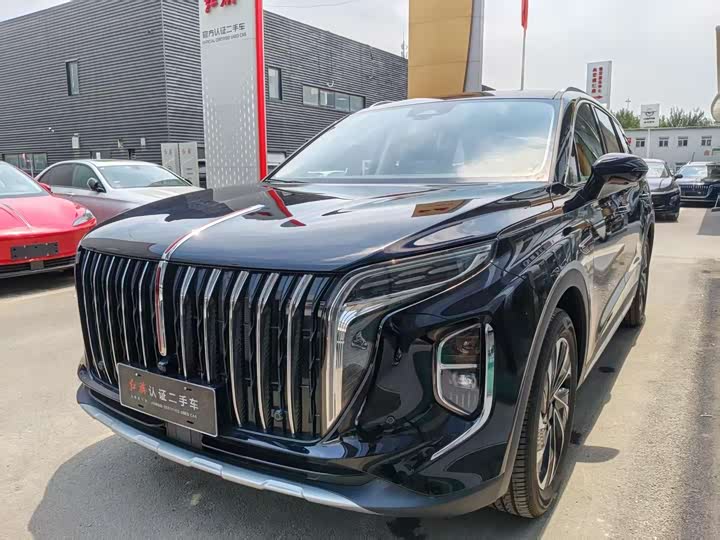 Hongqi HS7 PHEV 2025 2.0T PHEV four-wheel drive 2 million units commemorative edition 6 seats