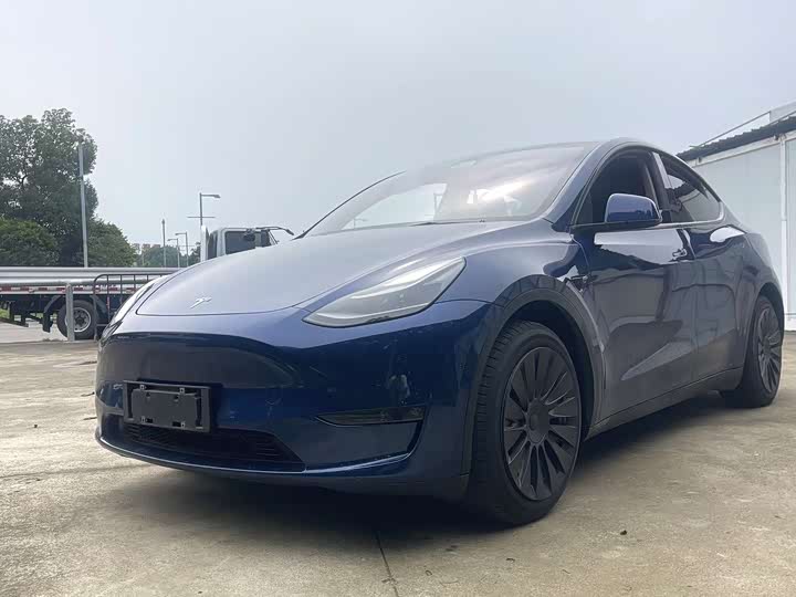 Model Y 2021 standard range rear-wheel drive version