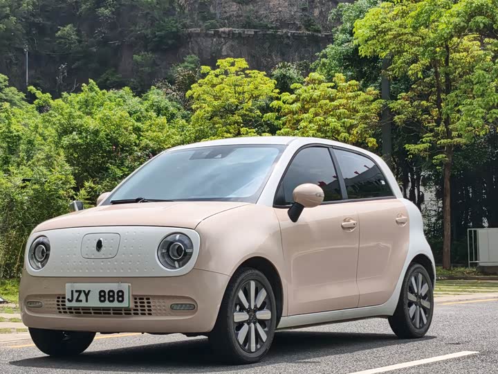 Euler Black Cat 2021 351km luxury model