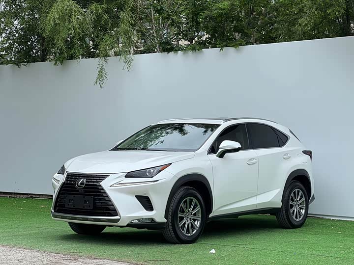 Lexus NX 2020 200 AWD Fengshang Edition National VI