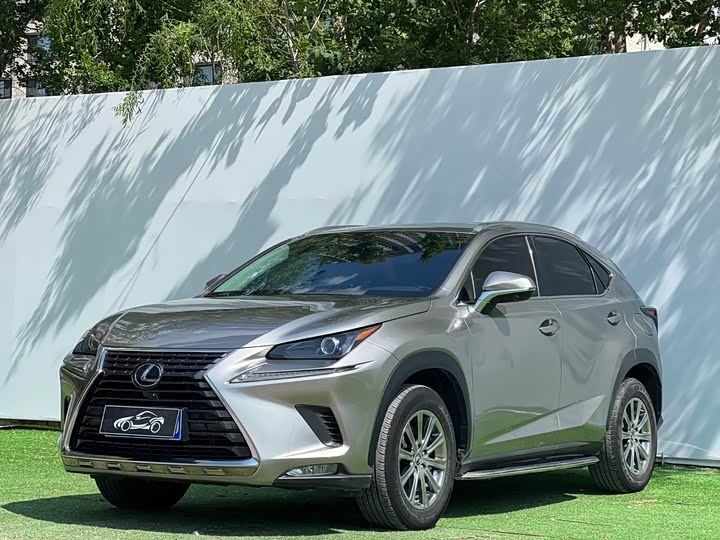 Lexus NX 2020 200 AWD Fengshang Edition National VI