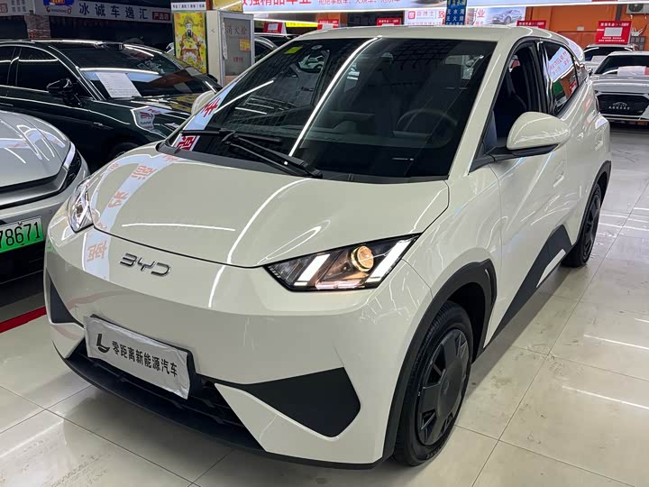 Seagull 2025 Smart Driving Edition 305km Vitality Edition