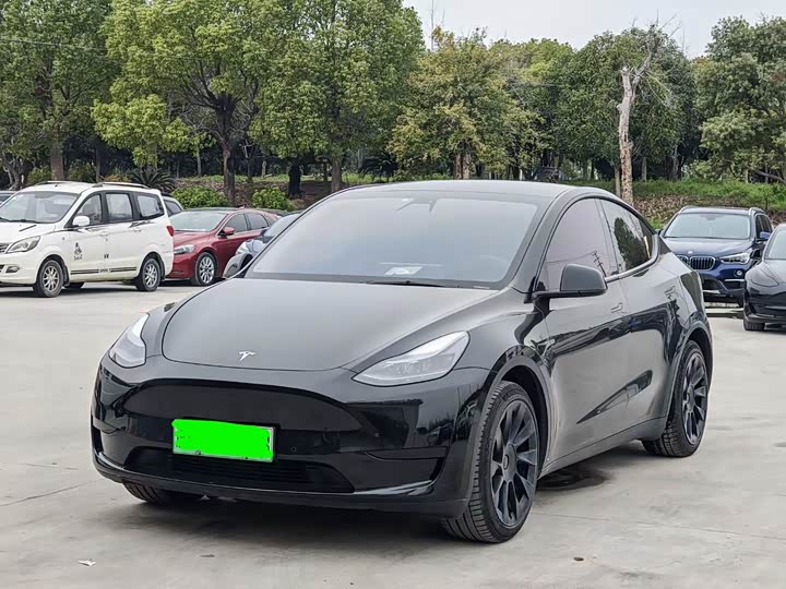 Model Y 2021 standard range rear-wheel drive version