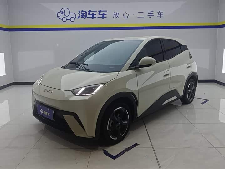 Seagull 2024 Honor Edition 305km Free Edition