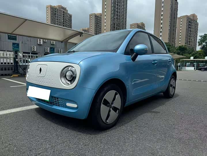 Euler Black Cat 2021 301km basic model