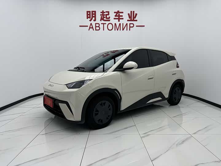 Seagull 2025 305km active version