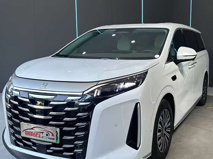 Summer 2025 DM-i 1.5T 100km transcendent type