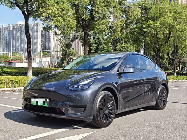 Model Y 2024 rear-wheel drive version