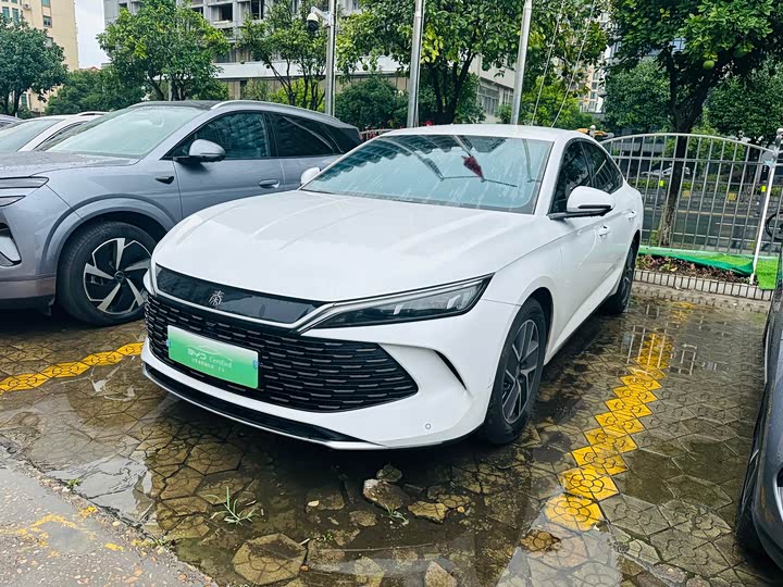 Qin L 2024 DM-i 80KM leading model