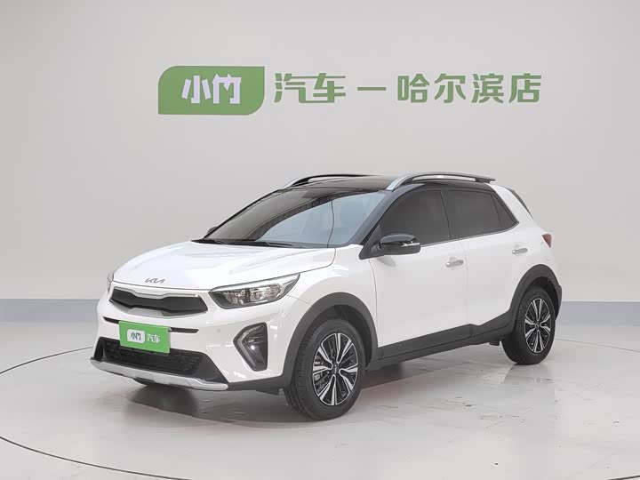 Yipao 2021 1.4L CVT sunroof model