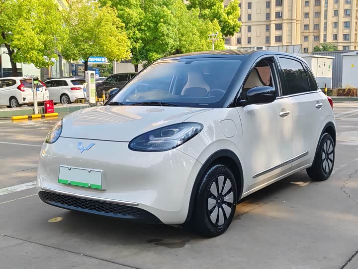Wuling Bingo 2024 model 333km Yuexiang model