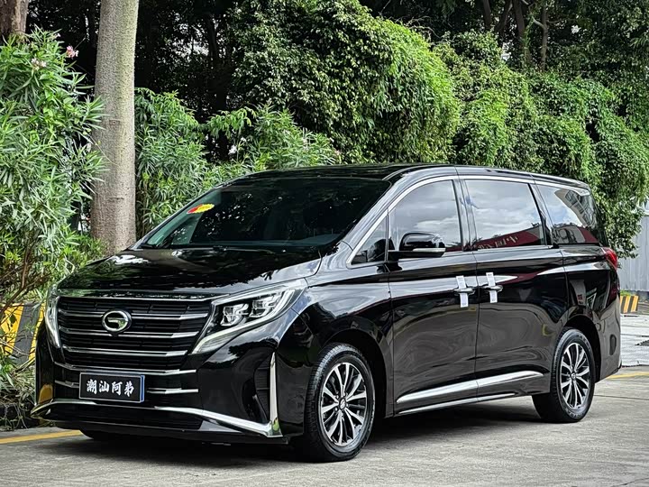 Trumpchi M8 2024 Lingxiu Series 390T Deluxe