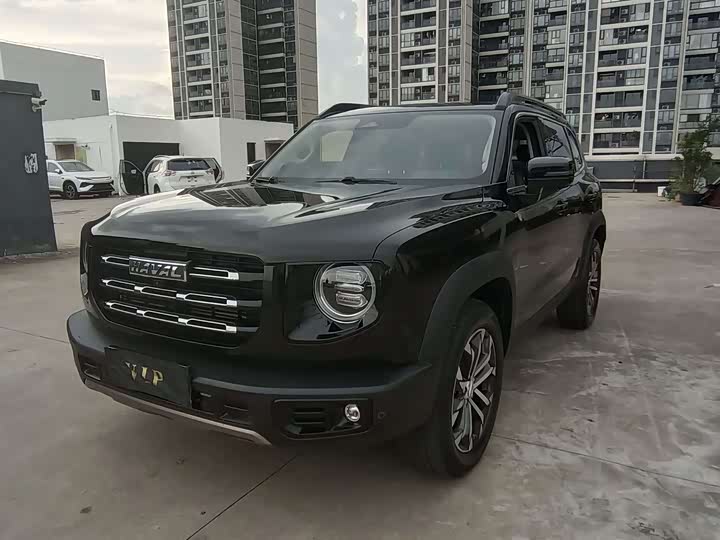 Haval Big Dog 2021 1.5T DCT two-wheel drive Border Collie version