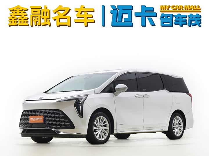 Century 2023 2.0T seven-seat Yuanshi Edition