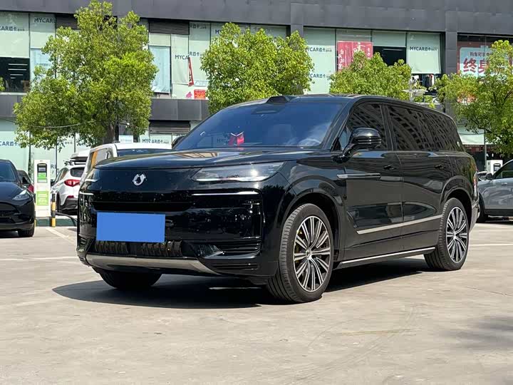 Denza N9 2025 Honor Type