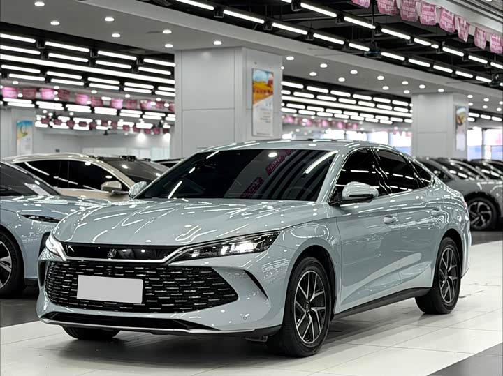 Qin L 2024 DM-i 120KM transcendent model