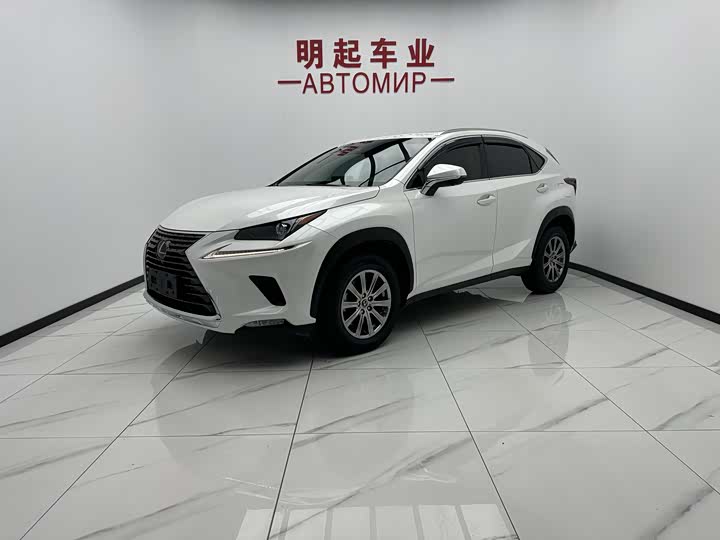 Lexus NX 2020 200 AWD Fengshang Edition National VI