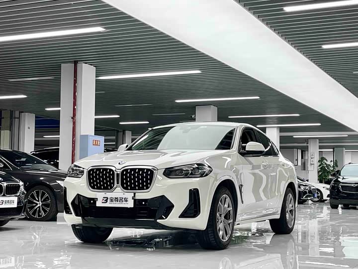 BMW X4 2022 xDrive25i M Sport Package